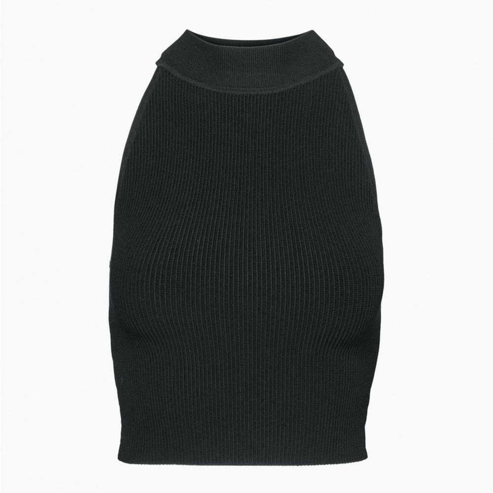 Aritzia Babaton Sculpt knit  Mockneck halter top